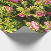 Rosarium Geschenkpapier (Ecke)