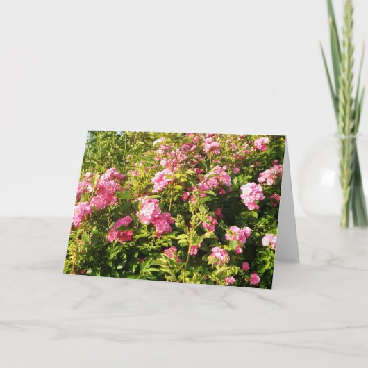 Rosarium Karte (Vorderseite)