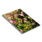 Rosarium Notizblock (Rechte Seite)