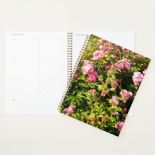 Rosarium Planer (Anzeige)