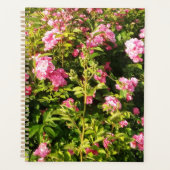 Rosarium Planer (Vorderseite)