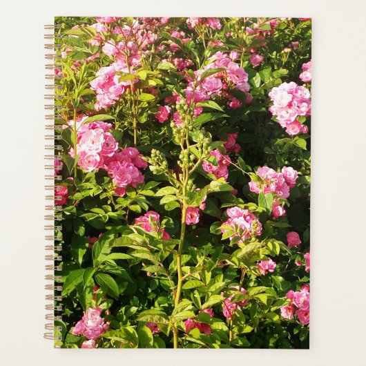 Rosarium Planer (Vorderseite)