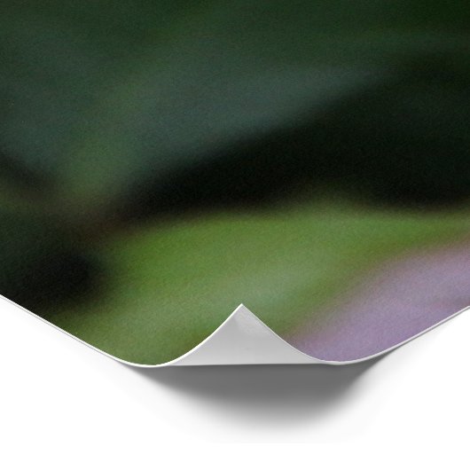 RosaRose Poster (Ecke)