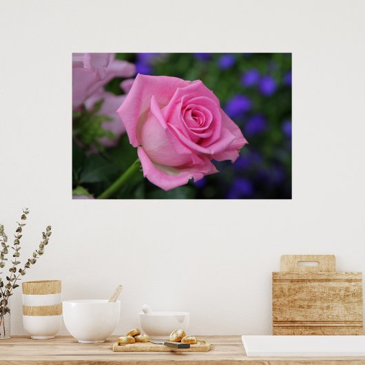 RosaRose Poster (Küche)