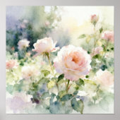 Rosarote Gartenrosen Poster (Vorne)
