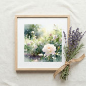 Rosarote Gartenrosen Poster
