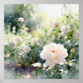 Rosarote Gartenrosen Poster (Vorne)