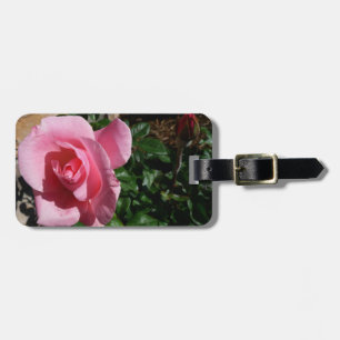 Rosarote Rose und Knospen-Gartenblume Gepäckanhänger