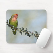 Rosaroter Liebesvogel auf dem Zweig Mousepad (Mit Mouse)