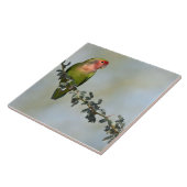 Rosaroter Liebesvogel auf einem Ast-Foto Fliese (Seite)