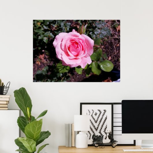 Rosatönen Poster (Heimbüro)