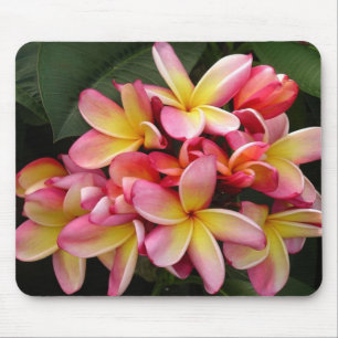 Rosaund Gelbtropische Plumeria-Blumen Mousepad