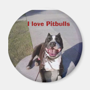 Roscoes Klasse, i-Liebe Pitbulls Magnet