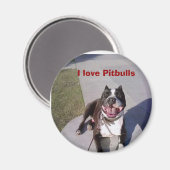 Roscoes Klasse, ich Liebe Pitbulls Magnet (Vorderseite/Rückseite)