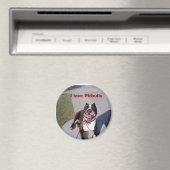 Roscoes Klasse, ich Liebe Pitbulls Magnet (In Situ (Geschirrspüler))