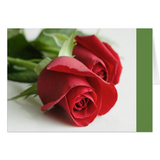 Rose (Vorderseite (Horizontal))