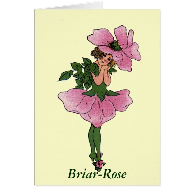 Rose (Vorne)