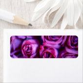 Rose (Insitu)