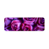 Rose (Vorne)