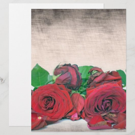 Rose (Vorne/Hinten)