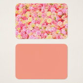 Rose (Vorne & Hinten)