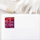 Rose (Insitu)