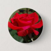 Rose03 Button (Vorderseite)