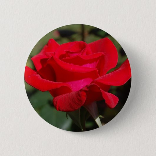 Rose03 Button (Vorderseite)