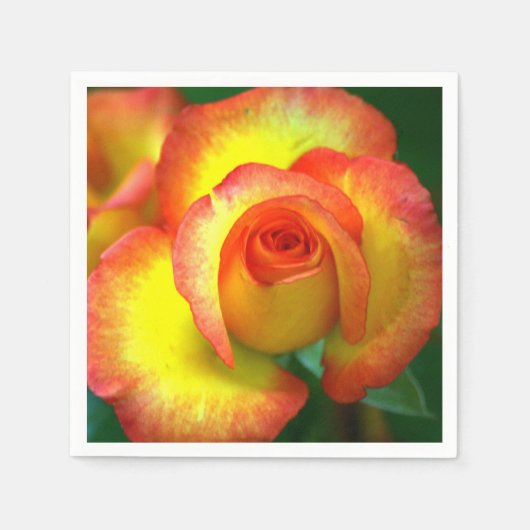 Rose 001 serviette (Vorderseite)