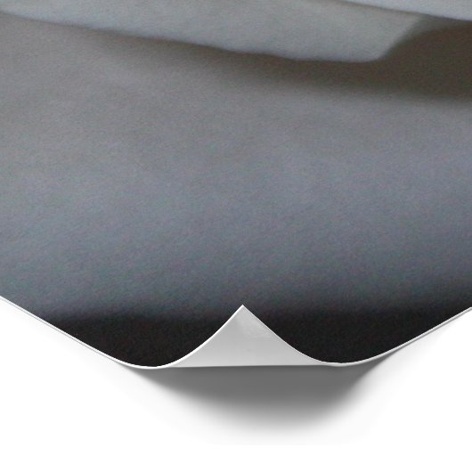 Rose 13 poster (Ecke)