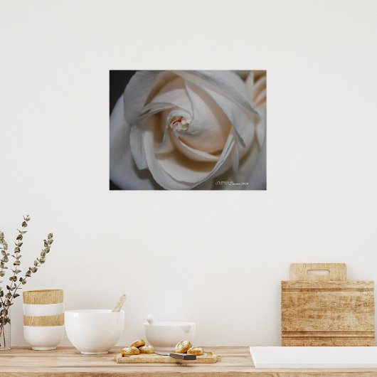 Rose 13 poster (Küche)