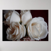 Rose 15 poster (Vorne)