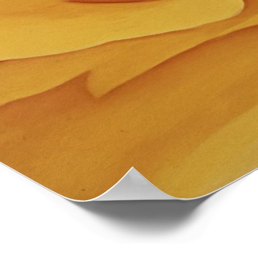 Rose #15 Poster (Ecke)