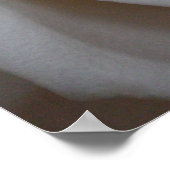 Rose 16 poster (Ecke)