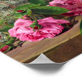 Rose, 1843 von Ferdinand Georg Waldmuller Poster (Ecke)