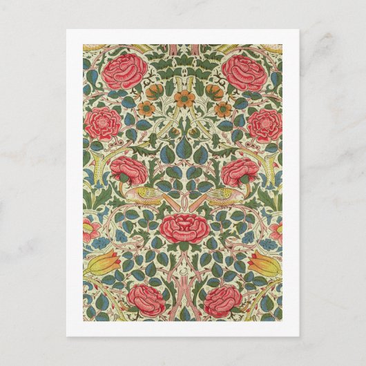 'Rose', 1883 (Baumwolle) Postkarte (Vorderseite)