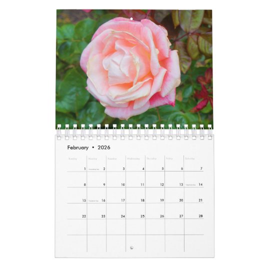 Rose #1 kalender (Feb 2026)