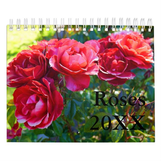 Rose #1 kalender (Titelbild)