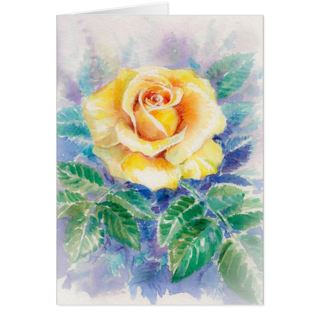 Rose 2 (Vorne)