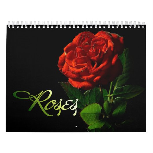 Rose 2013 kalender (Titelbild)