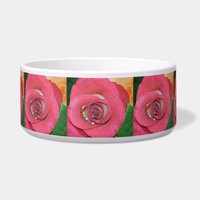 Rose_2015_0411 Napf (Vorderseite)