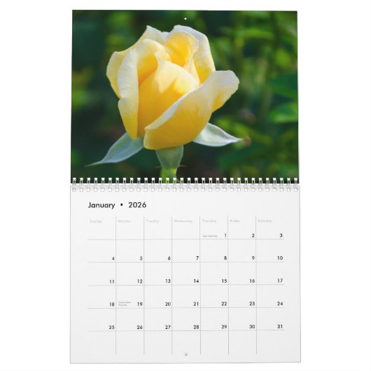 Rose 2026 Blume Kalender (Jan 2026)
