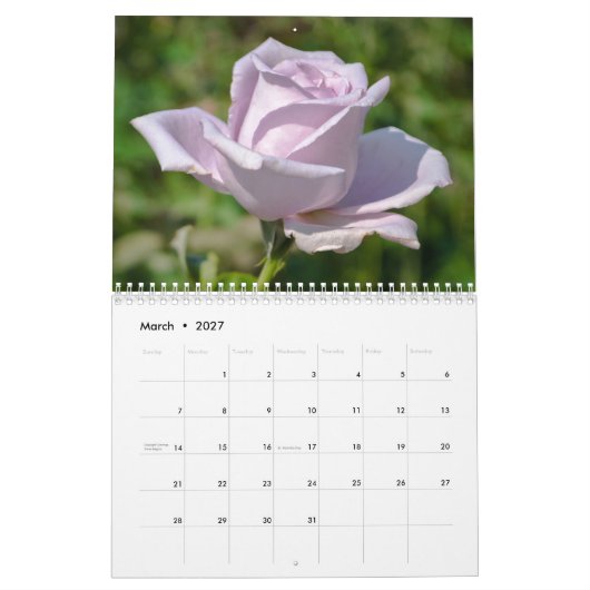 Rose 2026 Blume Kalender (Mär 2027)