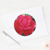 Rose 258 runder aufkleber (Umschlag)