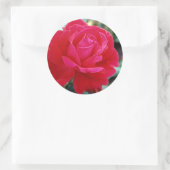 Rose 258 runder aufkleber (Tasche)