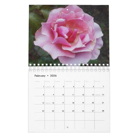 Rose 2 Kalender (Feb 2026)