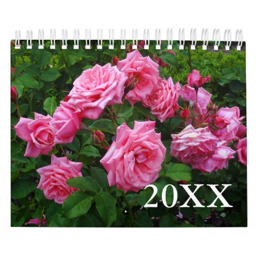 Rose 2 Kalender (Titelbild)