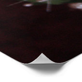 ROSE 2 POSTER (Ecke)