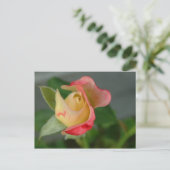 ROSE 2 POSTKARTE (Stehend Vorderseite)