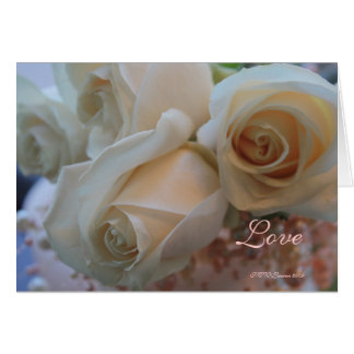 ROSE 4